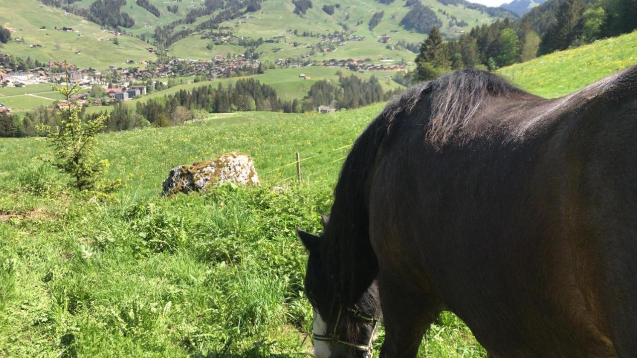 Au Pre Des Chevaux Bed & Breakfast ชาโต-เด ภายนอก รูปภาพ