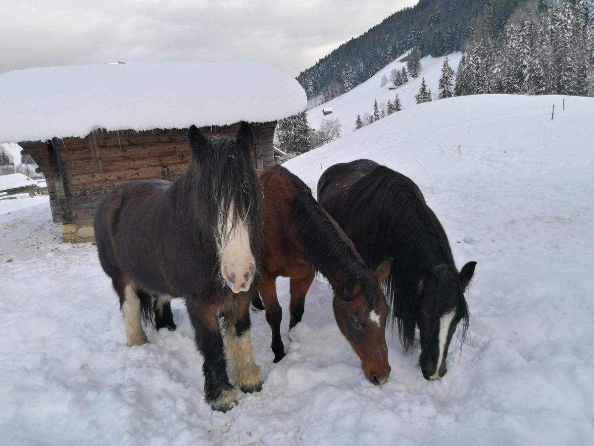 Au Pre Des Chevaux Bed & Breakfast ชาโต-เด ภายนอก รูปภาพ