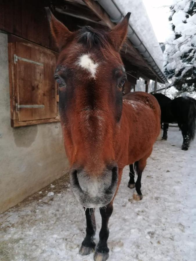 Au Pre Des Chevaux Bed & Breakfast ชาโต-เด ภายนอก รูปภาพ