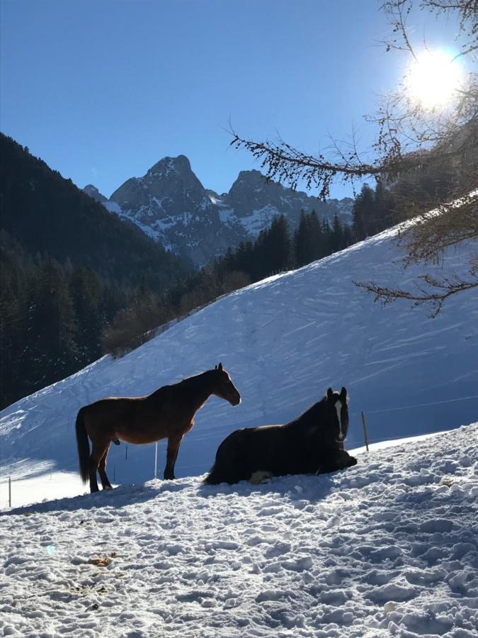 Au Pre Des Chevaux Bed & Breakfast ชาโต-เด ภายนอก รูปภาพ