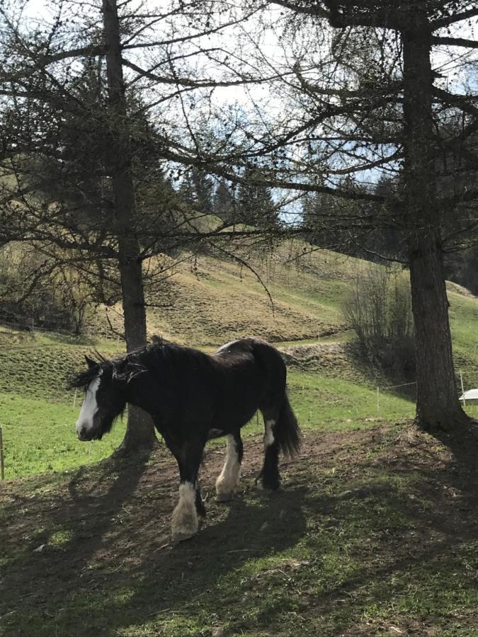 Au Pre Des Chevaux Bed & Breakfast ชาโต-เด ภายนอก รูปภาพ