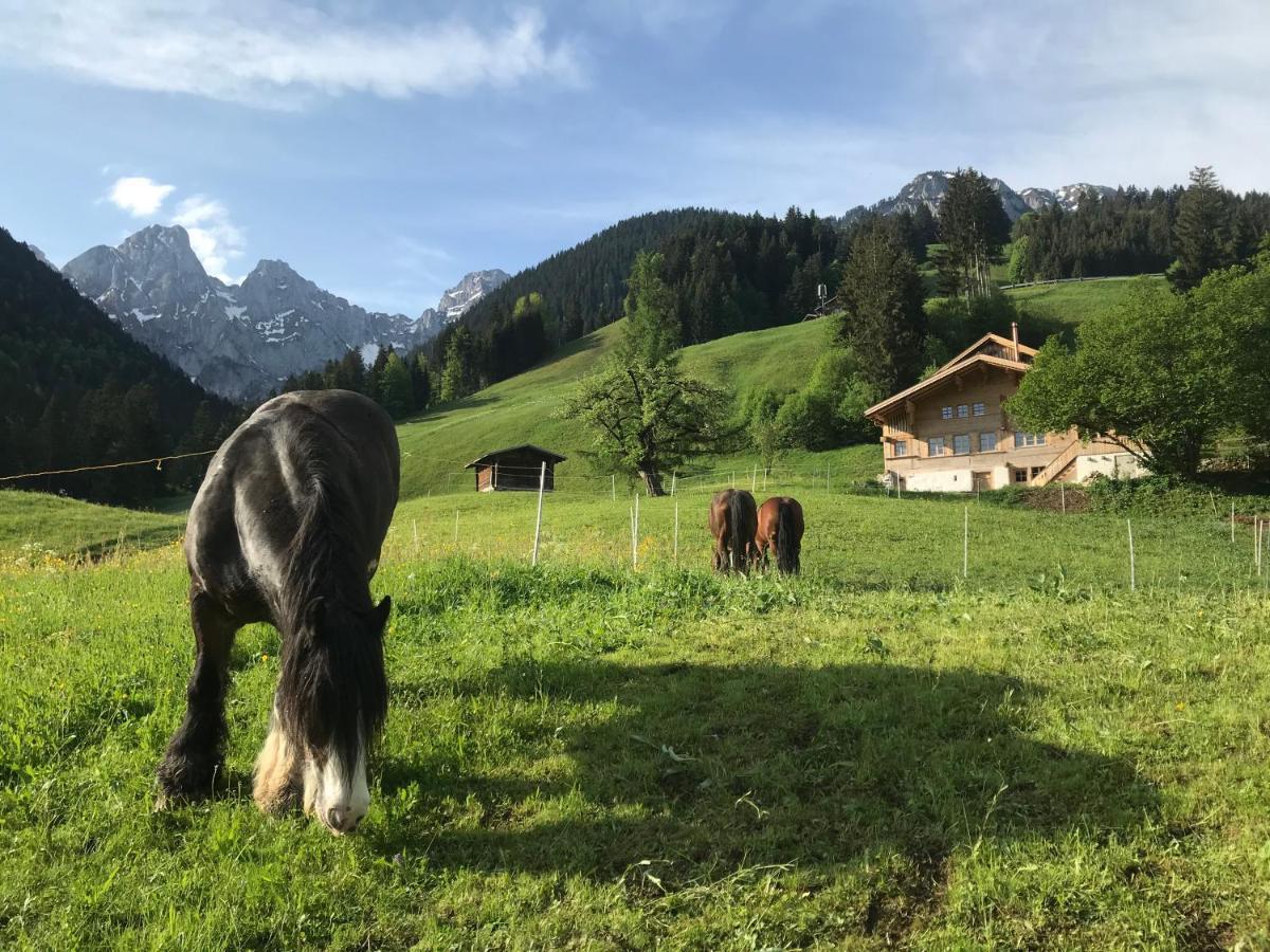 Au Pre Des Chevaux Bed & Breakfast ชาโต-เด ภายนอก รูปภาพ